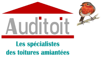 Logo Auditoit