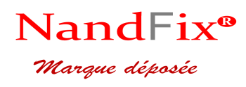 Logo NandFix